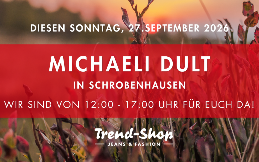 Michaeli Dult in Schrobenhausen